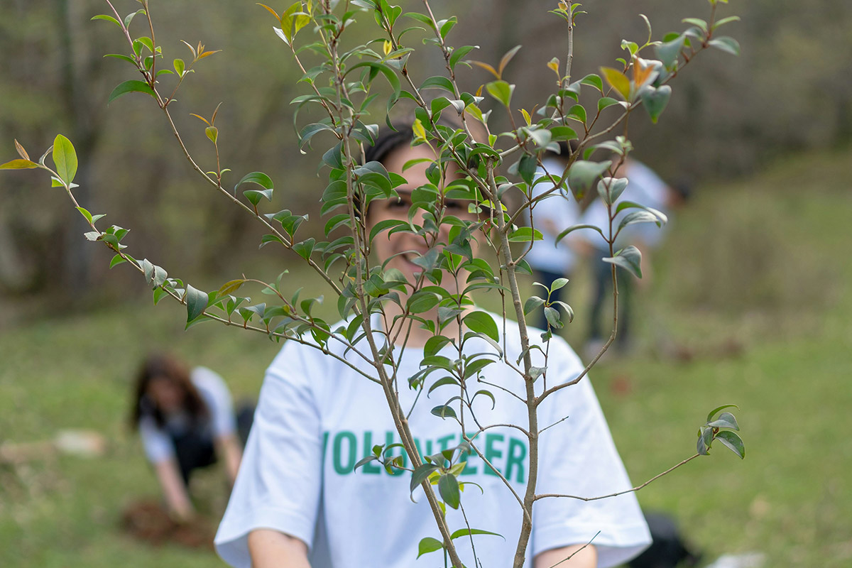 The Grove – Monthly Giving Program